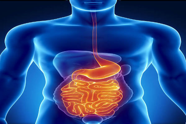 Gastric & Digestive Disorder