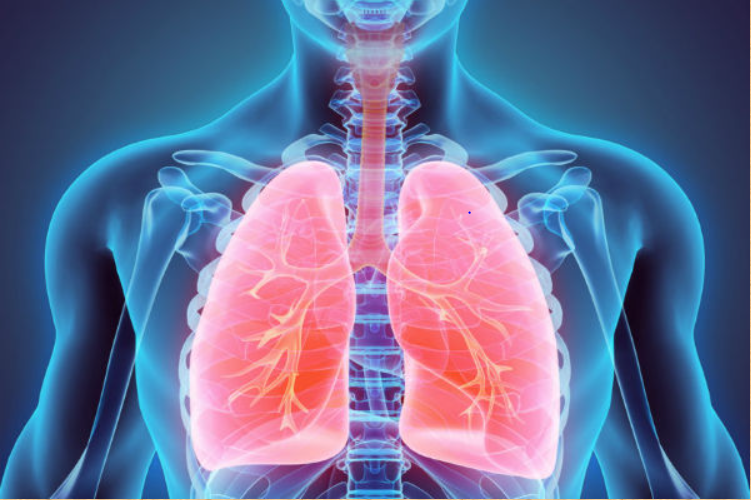 Asthma In Phursungi, Hadapsar, Magarpatta | Ayurvedic Treatment for Chronic cough and cold In Manjari, Udri, Handewadi | Waghole Ayurved Clinic Ayurvedic Treatment for Chronic cough and cold