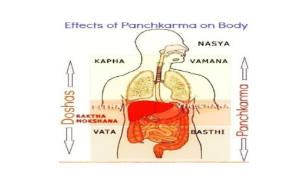 GENERAL INTRODUCTION