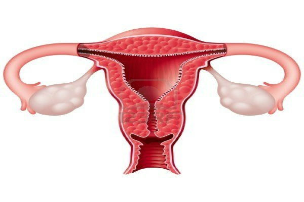 Gynaecological Disorders
