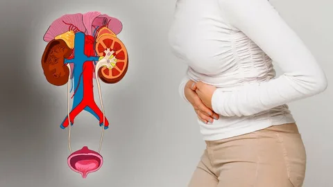 How UTIs Can Affect Your Sexual Health and What You Can Do About It