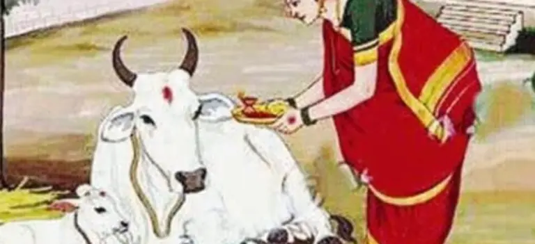 HOME CONTACT First Diwali Day – Cow Worship – Vasubaras